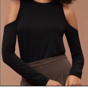 Aritzia Long Sleeve Tee